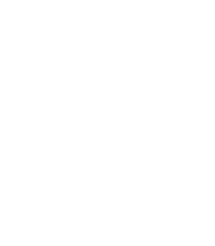 Axe Bat