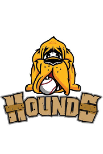 Hounds Baseball Academy